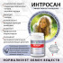 Интросан, 60 кап. Интросан, 60 кап.